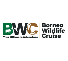 Borneo Wildlife Cruise